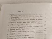 Šiuolaikinės lietuvių literatūros bruožai - nuotraukos Nr. 3