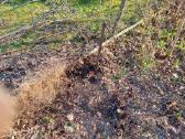 Parduodamas 6 a. sodo sklyp Rastinėnai prie Neries - nuotraukos Nr. 12