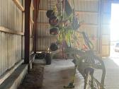 Claas liner 1550 twin profil - nuotraukos Nr. 4