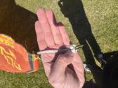 Jėgos aitvaras - North Dice Kite + North bar - nuotraukos Nr. 4