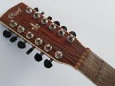 Cort 12 stygu akustine dvylikastyge gitara
