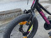 Specialized dviratis - nuotraukos Nr. 3