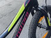 Specialized dviratis - nuotraukos Nr. 11