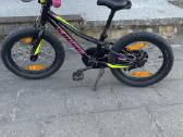 Specialized dviratis - nuotraukos Nr. 16