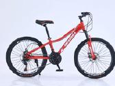 24&amp;amp;amp;amp;amp;quot; 220€ - nuotraukos Nr. 9