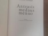 Joanna Trollope "Antrasis medaus mėnuo" - nuotraukos Nr. 9