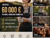Es Projektaipaskolosverslo planai - nuotraukos Nr. 14