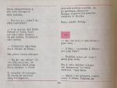 E. Mieželaitis "Dainos dienoraštis" - nuotraukos Nr. 6