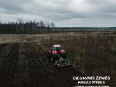Apleistų laukų tvarkymas, kelmų frezavimas