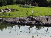 Vinkšnos sodyba/pokylių salės/miegamieji/pirtis. - nuotraukos Nr. 18