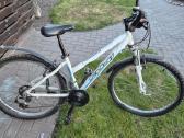 Fuji 26" dviratis