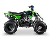 Benzininis keturratis Barton Pentora 125cc - nuotraukos Nr. 3