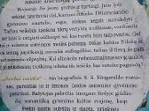Švelni naktis - nuotraukos Nr. 3