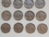JAV Buffalo 5 centai