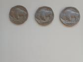 JAV Buffalo 5 centai - nuotraukos Nr. 8