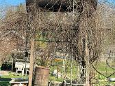 Parduodama vandens talpa- backa - nuotraukos Nr. 2