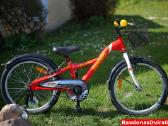Naujas 20" 4kids Raudonas