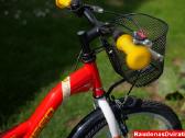 Naujas 20" 4kids Raudonas - nuotraukos Nr. 6