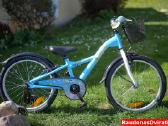 Naujas 20" 4kidas mėlynas