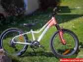 Naujas 20" Tabou rožinis