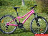 Naujas 24" Cross rožinis - nuotraukos Nr. 2