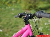 Naujas 24" Cross rožinis - nuotraukos Nr. 6