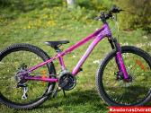 Naujas 24" Tabou violetinis