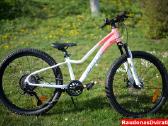 Naujas 24" Tabou rožinis