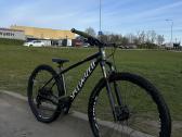 Specialized rockhopper expert 29