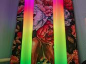 2vnt LED Rgb Pastatomas šviestuvas toršerai