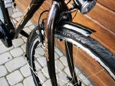 Raleigh Dover - nuotraukos Nr. 4