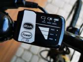 Raleigh Dover - nuotraukos Nr. 6