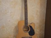 12 styginių gitara msa cw1100