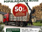 Beržo malkos rąstais su pristatymu – tik 50eur/m3 - nuotraukos Nr. 3