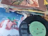Vinilines ploksteles
