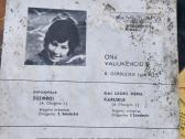Vinilines ploksteles - nuotraukos Nr. 4