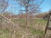 Parduodu 2 bendrabučio tipo butus - nuotraukos Nr. 5
