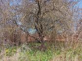 Parduodu 2 bendrabučio tipo butus - nuotraukos Nr. 8