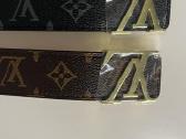 Louis vuitton dirzas - nuotraukos Nr. 2