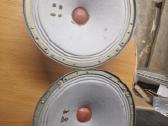 25 Gdn-5