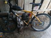 Motorinis Dviratis 80cc - nuotraukos Nr. 2