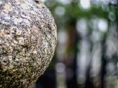 Įvairūs objektyvai fotoaparatams - nuotraukos Nr. 11