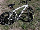 Dviratis Busetto Special