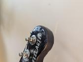 Fender Jim Adkins Ja-90 Telecaster® Thinline - nuotraukos Nr. 9