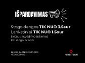 Stogo dangos ir lankstiniai išpardavimas