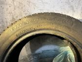 Goodyear padangos - nuotraukos Nr. 2