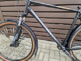 Bulls (29er 60cm) - nuotraukos Nr. 6