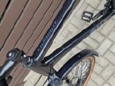 Bulls (29er 60cm) - nuotraukos Nr. 7