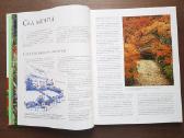 Kraštovaizdžio, sklypo dizainas. Sodo kompozicijos - nuotraukos Nr. 7