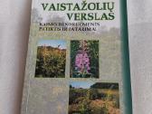 Vaistažolių verslas